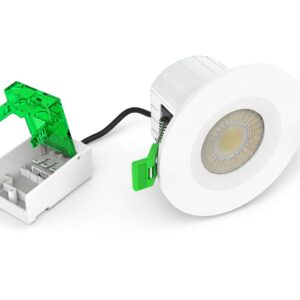 Eclipse Downlight