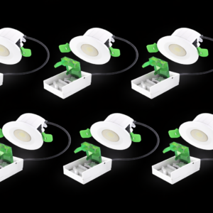 Eclipse Downlight- 10 Pack